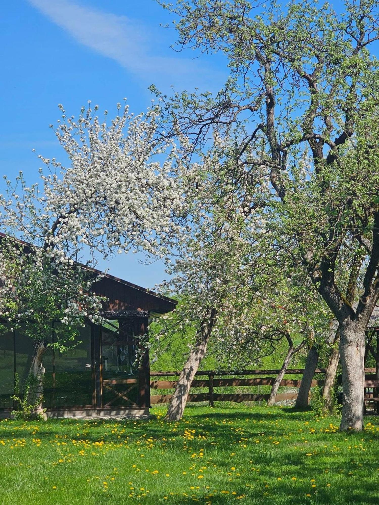 Rasos Sodyba Prienai Exterior photo
